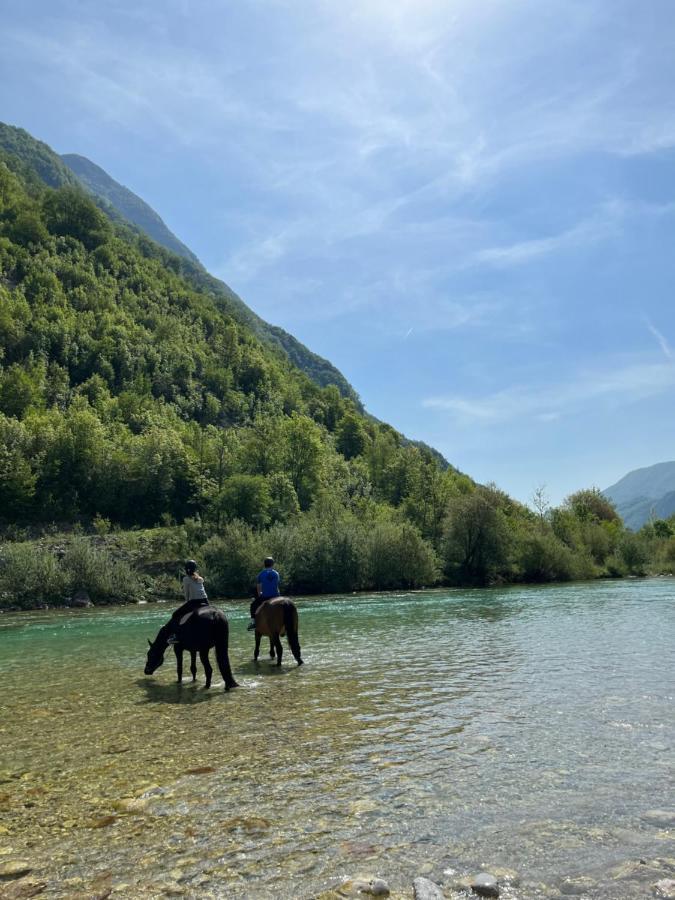 Apartment Baban In Zaga, Slovenia 외부 사진